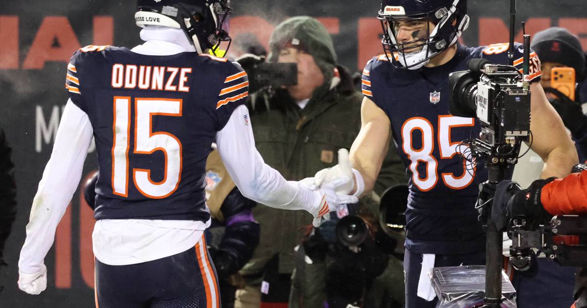 This Bears season changed everything, and I’m grateful for it: Silvy – Shaw Local