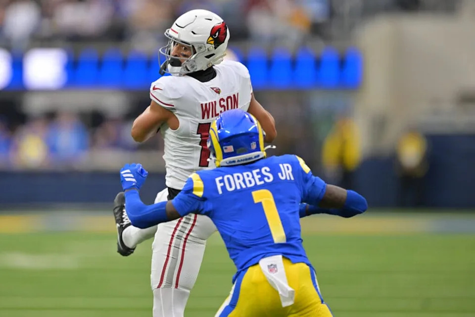 Arizona Cardinals WR Michael Wilson