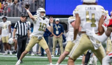 Georgia lands wide receiver from rival school in the transfer portal | Georgia Sports