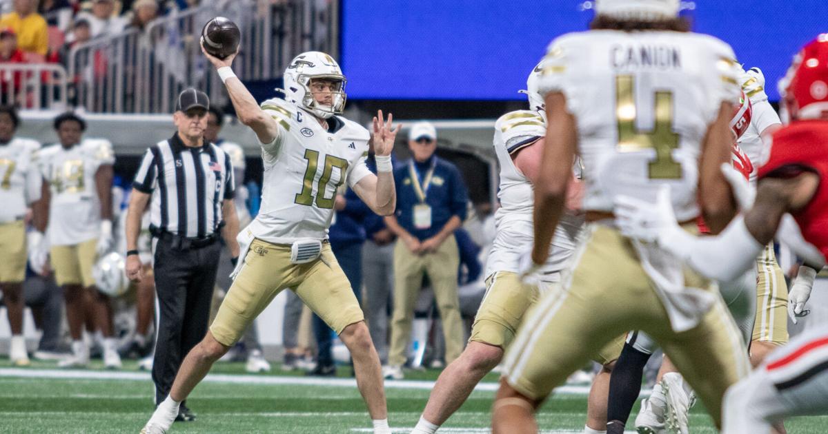 Georgia lands wide receiver from rival school in the transfer portal | Georgia Sports