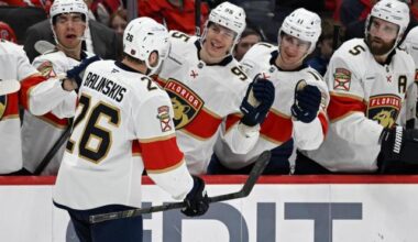 Panthers rebound from an 8-goal loss to Carolina, beat Capitals 5-2 in Washington :: WRALSportsFan.com