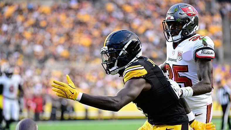 Pittsburgh Steelers Brandon Johnson