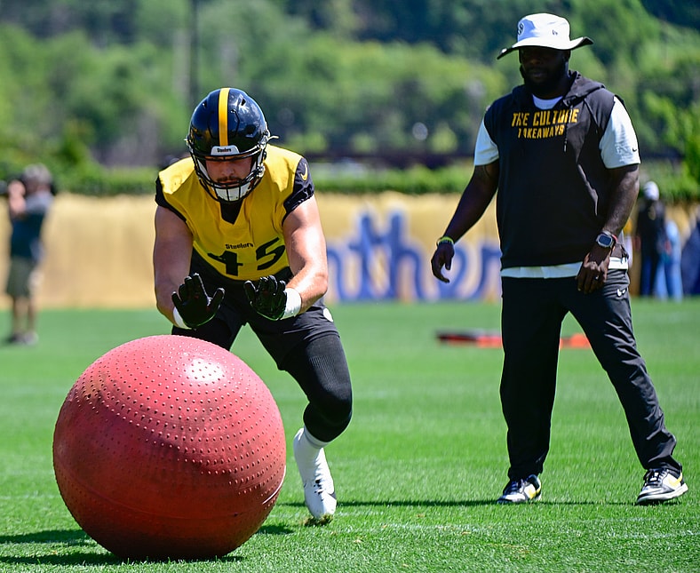 Pittsburgh Steelers OLB Julius Welschof