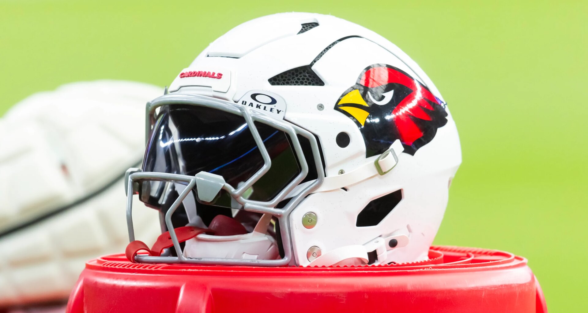 Arizona Cardinals leaning into NFC West for coaching canddiates