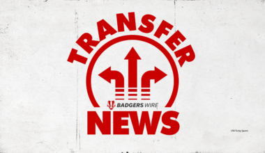 Wisconsin football transfer portal Liam Danitz commitment