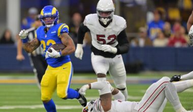 Arizona Cardinals Week 18 defensive snap counts, observations