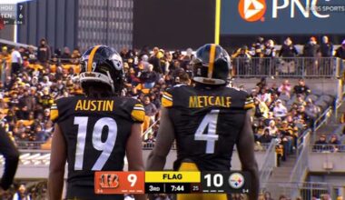 Steelers' Teammates Made Sure To Include DK Metcalf In AFC North Celebration