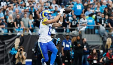 Panthers lose heartbreaker to Rams in first playoff game in 8 years