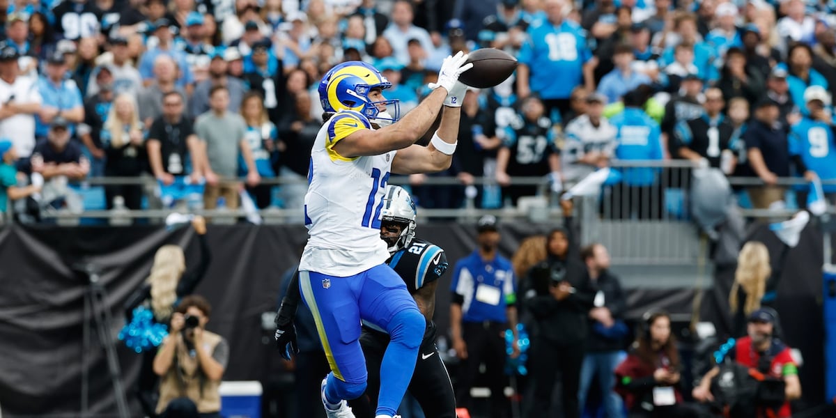 Panthers lose heartbreaker to Rams in first playoff game in 8 years