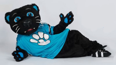 Sir Purr, the iconic mascot of the Carolina Panthers. (FPFO_Podcast/X)