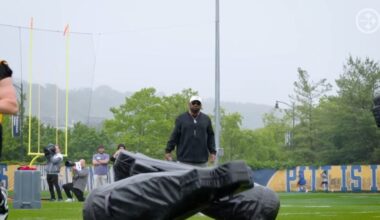 Perspective Of An Average Steelers Fan: The Tomlin Timeline