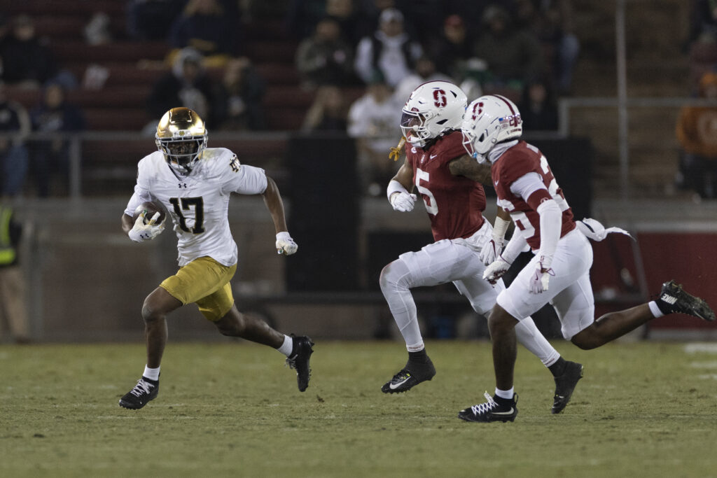 8. Notre Dame Fighting Irish