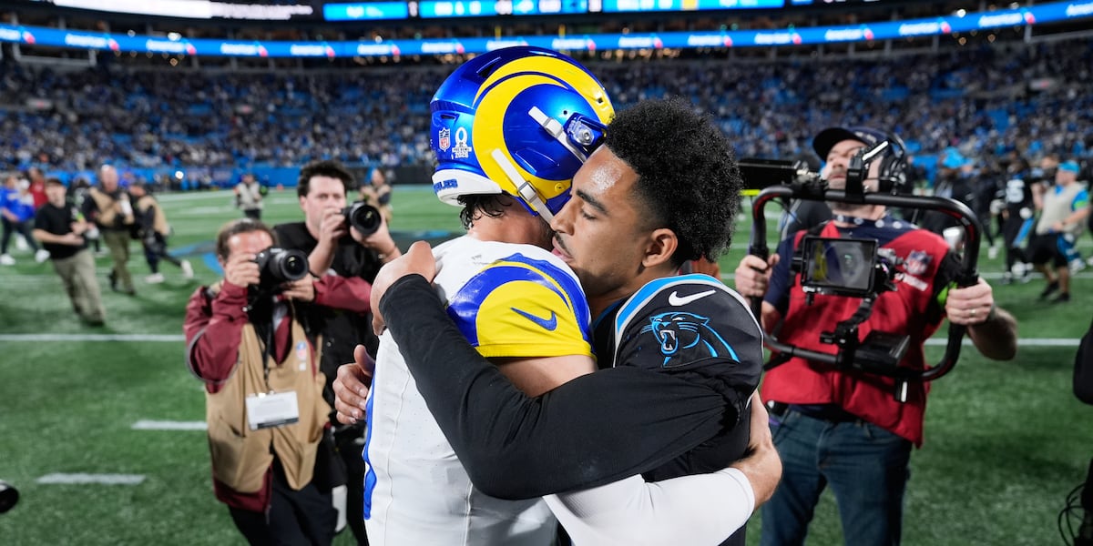 Panthers close up-and-down season with first playoff appearance in eight years