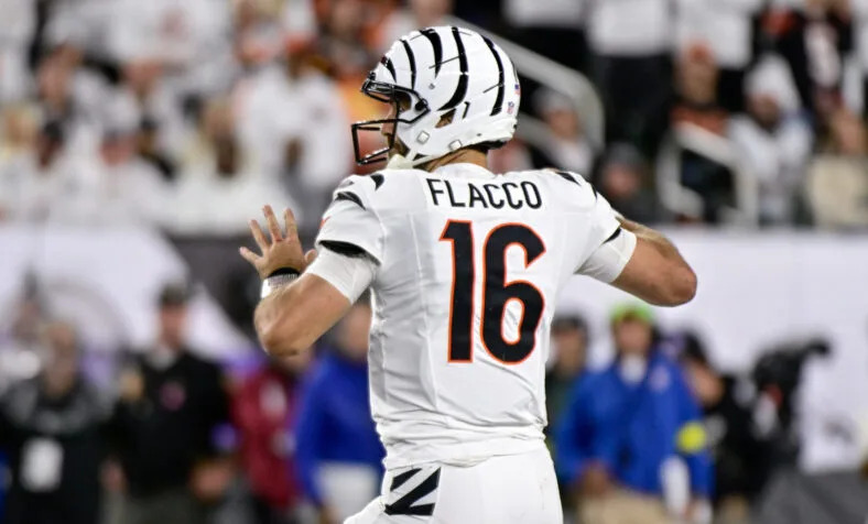 Pittsburgh Steelers Cincinnati Bengals Joe Flacco