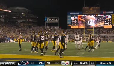 Snap Counts And PFF Grades: Steelers Vs Texans