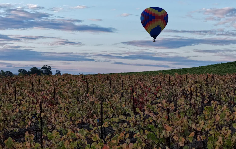 A hot air balloon flies over a vineyard at Cuvaison Winery in this file photo from Oct. 13, 2025 in Napa, California.