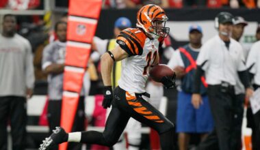 Former Bengal WR in critical, but stable, condition after ranch accident