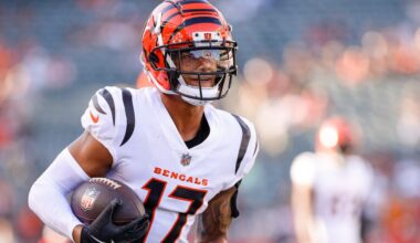 Patriots host pair of receivers for workouts heading into NFL playoffs