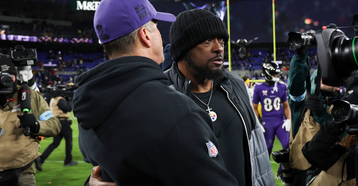 Should Cleveland Pursue Mike Tomlin and John Harbaugh, or Steer Clear? Browns Reacts Survey