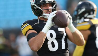 Pittsburgh Steelers sign veteran tight end