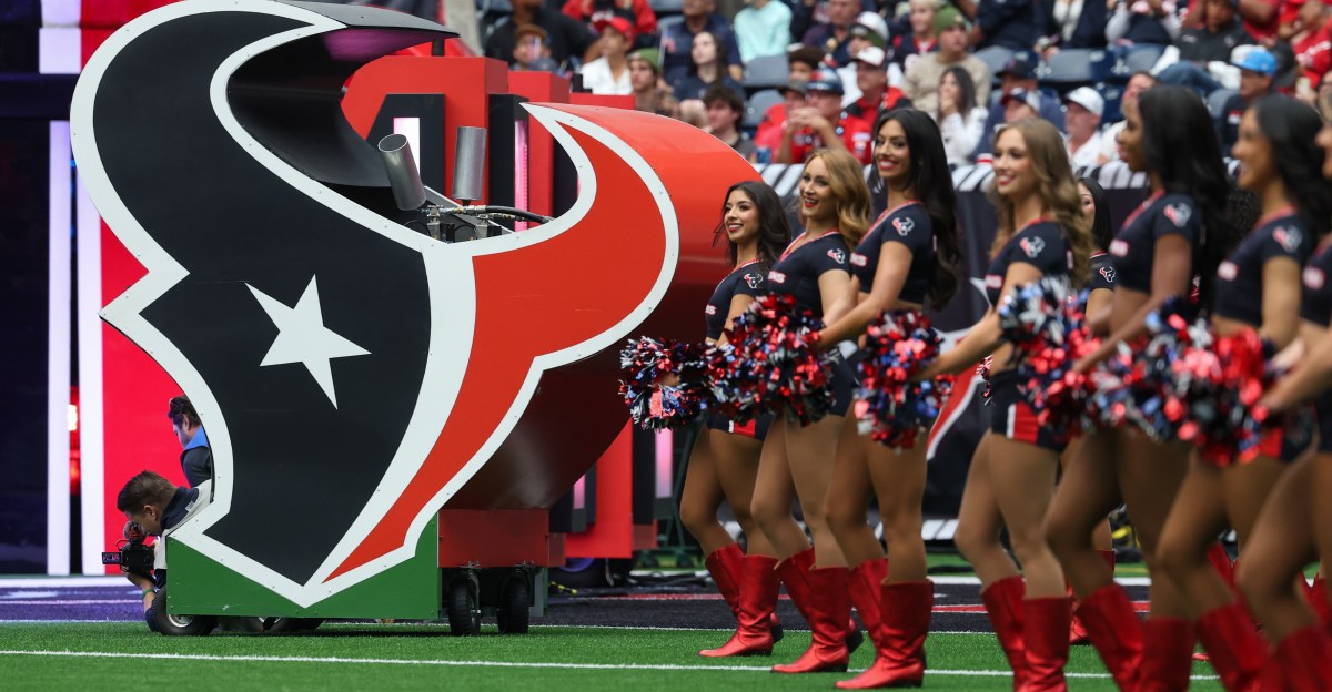 Houston Texans Fan Survey: Week 18