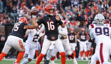 Bengals QB Joe Flacco added to AFC roster for Pro Bowl Games