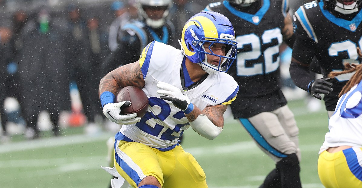 Who are the Carolina Panthers?