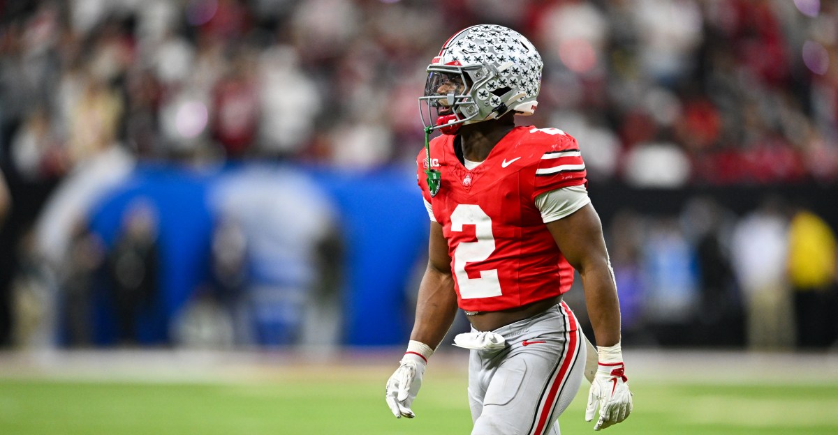 Minnesota Vikings News and Links: Shall We Continue To Beat That Dead Horse?