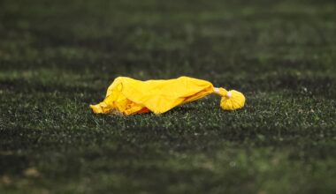 The NFL is considering throwing penalty flags after replay review
