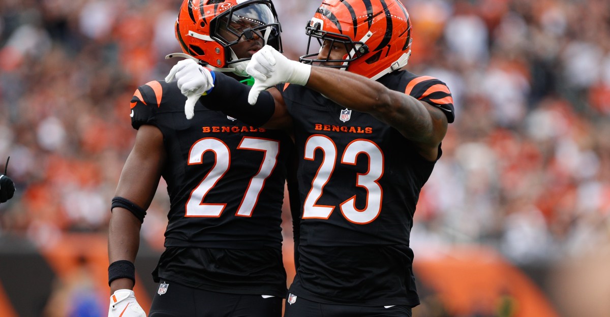 Year-end snap count takeaways for the Cincinnati Bengals