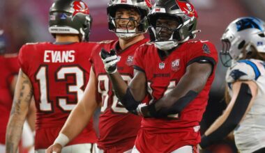 Houston Texans Fan Survey: Offseason