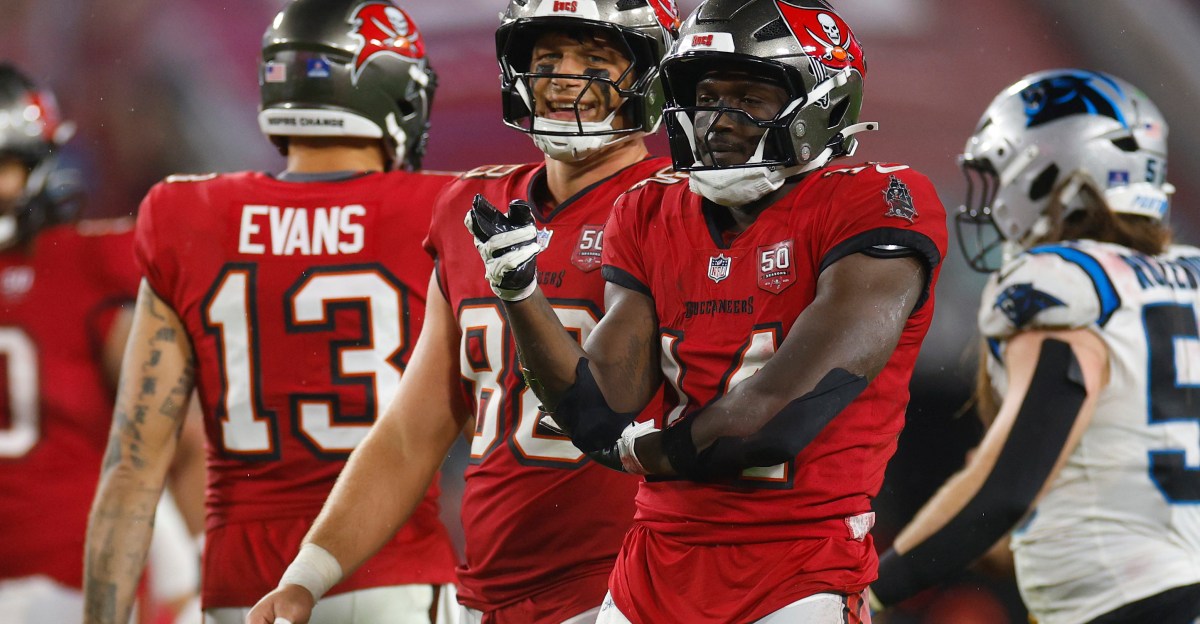 Houston Texans Fan Survey: Offseason