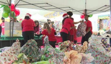 Former Falcons star Harry Douglas gives back to kids in his community with annual festival – WSB-TV Channel 2