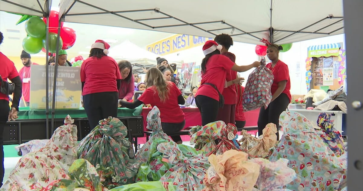Former Falcons star Harry Douglas gives back to kids in his community with annual festival – WSB-TV Channel 2