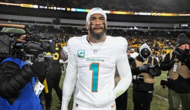 Miami Dolphins News - Grading the Dolphins quarterbacks