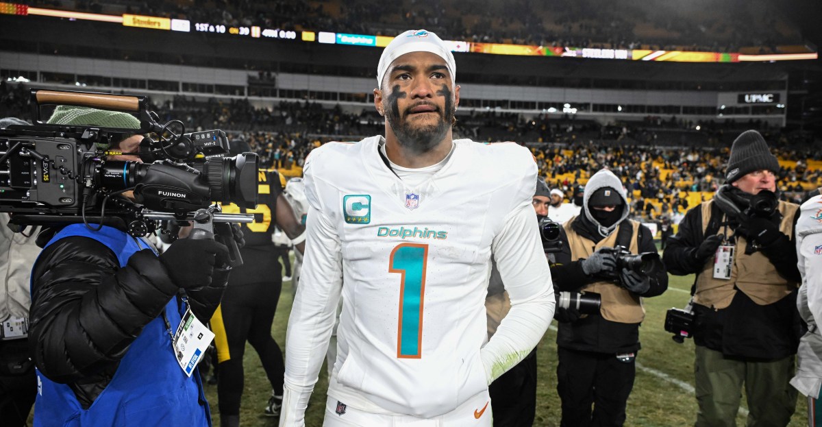 Miami Dolphins News - Grading the Dolphins quarterbacks