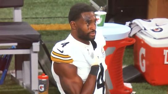 Steelers' DK Metcalf's History With Lions Fan Gets Exposed After Secret Security Information Leaks (Steelers News)