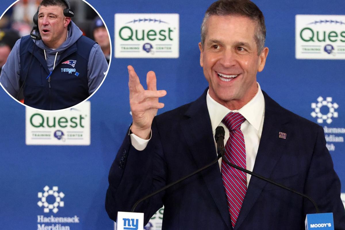 The evolutionary example the Giants believe John Harbaugh can follow