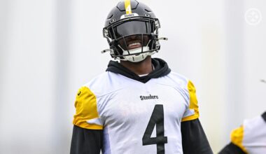 Wild Card Blog: Happy to be back