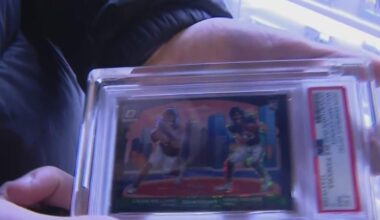 Stolen Chicago Bears cards, merch worth $4,500 returned to Lake County memorabilia shop