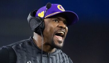 Minnesota Vikings defensive coordinator Brian Flores