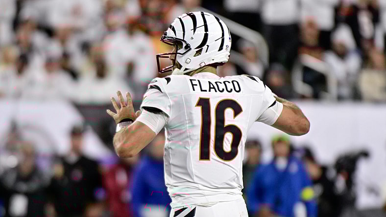 Pittsburgh Steelers Cincinnati Bengals Joe Flacco