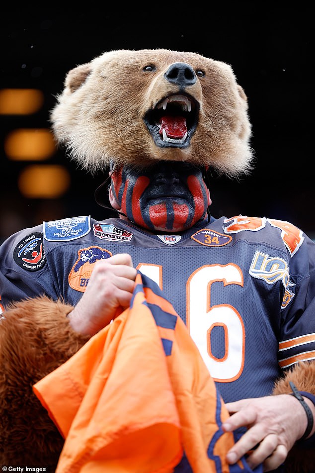Bears fan looks on before the game between the Chicago Bears and the Giants