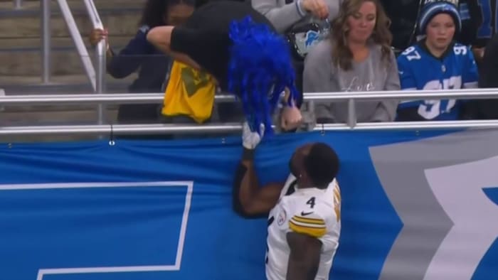 Lions fan sues NFL stars and media for defamation after false racism claims go viral