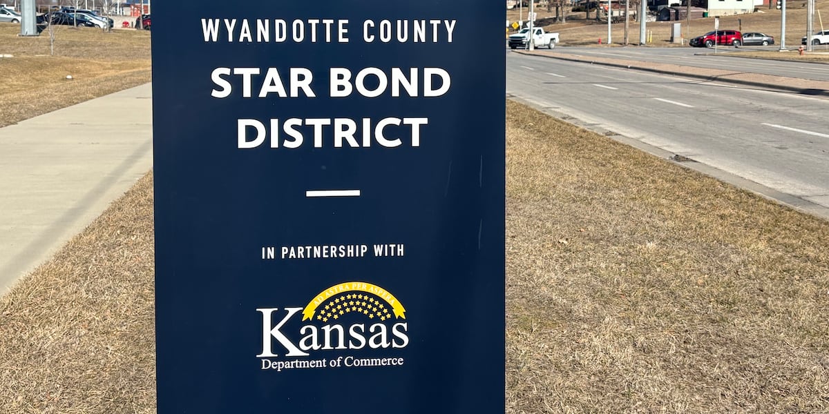 Commissioners voted 7-3 to create district that will finance new domed stadium set to open in 2031