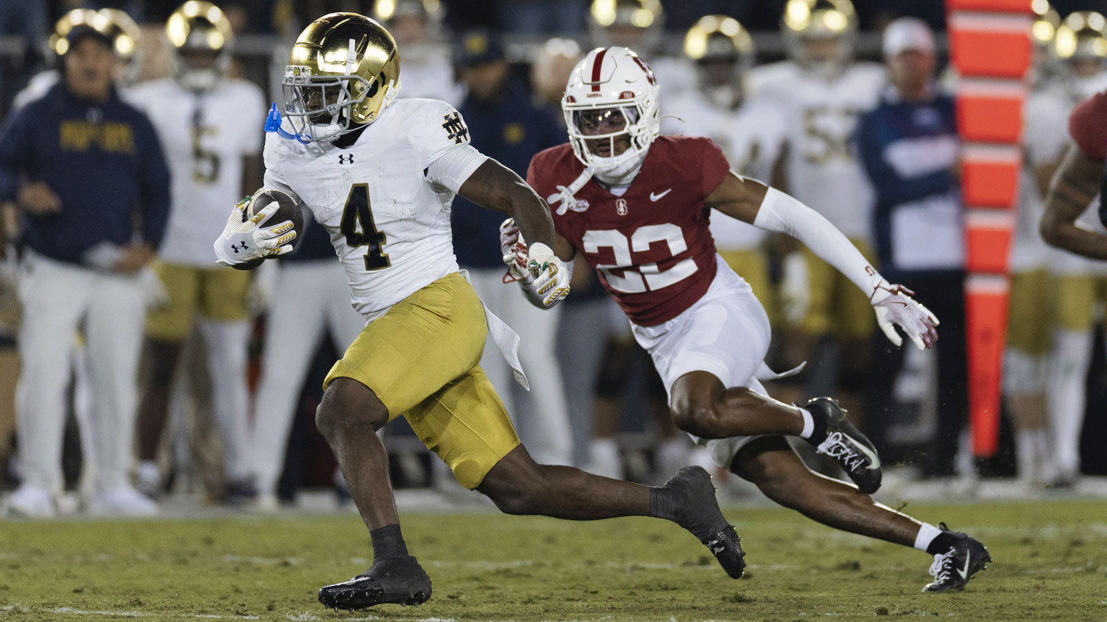 Troy Finnegan headshot