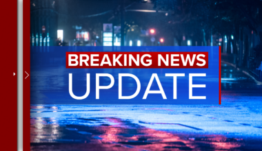 Charges dropped against Misty McMichael, widow of Bears great Steve McMichael in Frankfort, Illinois: Will County Circuit Court