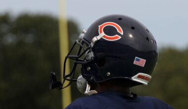 Iowa Joins Fray To Lure Bears Out Of Chicago: Report