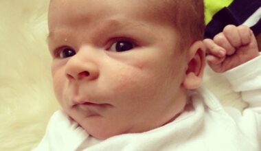 12 years after the 12s celebrated a Seahawks Super Bowl win, baby 12 hopes to celebrate again