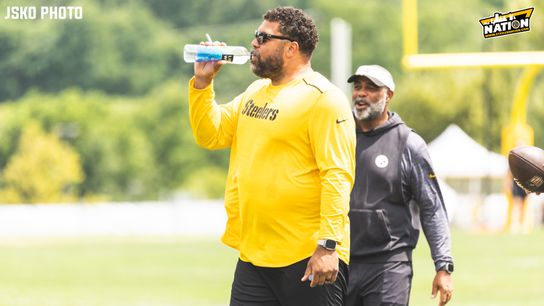 Steelers Cam Heyward
